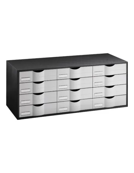 Organizador clasificador  negro 12 cajones gris
