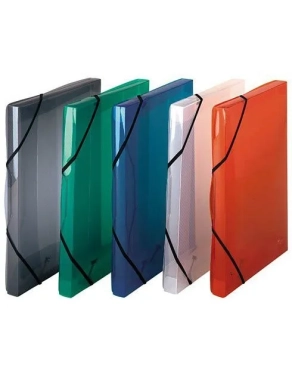 Carpeta gomas con solapas PP 2.5 cm surtidas