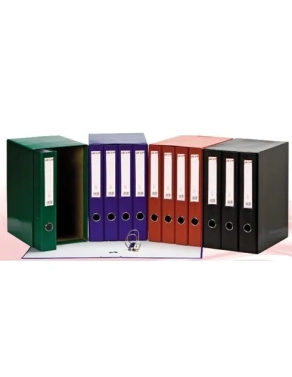 Conjunto 4 carpetas anillas