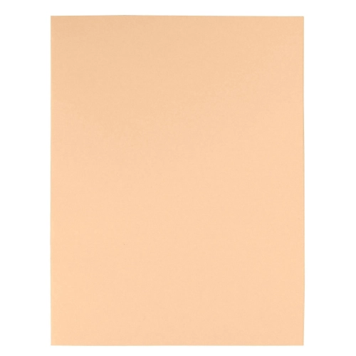 100 carpetas 180gr reciclado Exacompta kraft