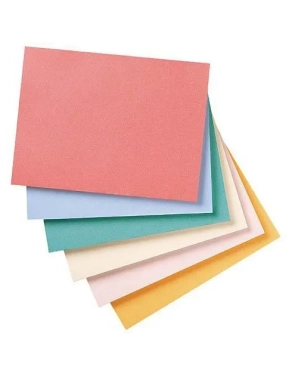 100 carpetas 180gr reciclado Exacompta surtido