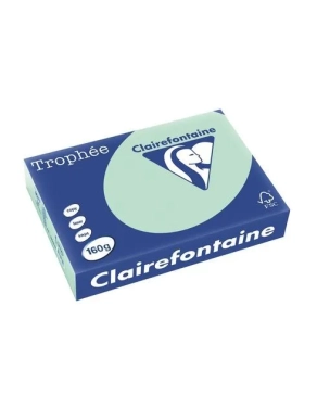 Papel A4 250 hojas 160gr verde pastel Clairefontaine