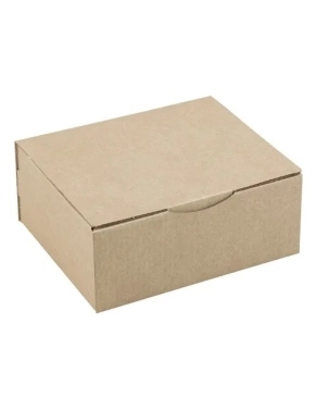 Paquete 50 cajas postal marrón 25 x 20 x 10 cm