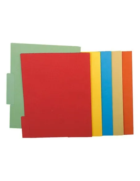 50 subcarpetas central f