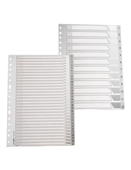 Juego indices separadores 1-31 16 anillas f