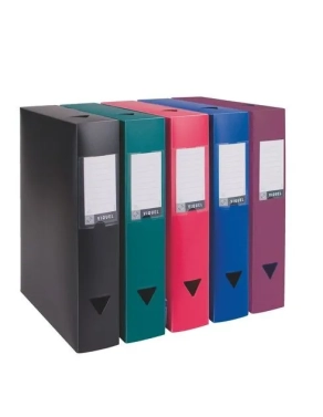 Carpeta proyectos Polipropileno Viquel 8 cm surtidas
