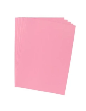 100 subcarpetas papel rosa JMB