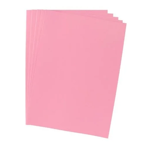 100 subcarpetas papel rosa JMB