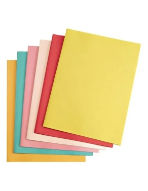 25 carpetas 60gr reciclado Exacompta surtido