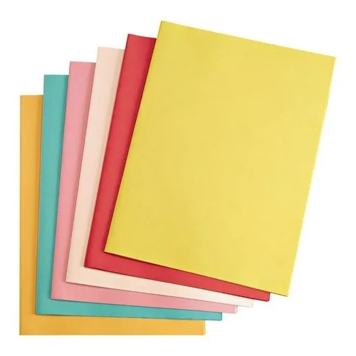 25 carpetas 60gr reciclado Exacompta surtido