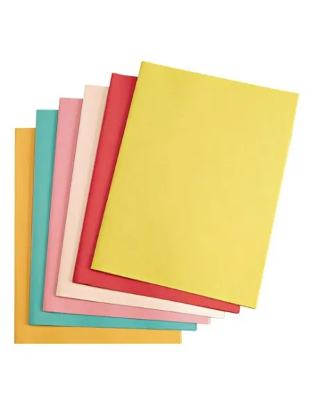 25 carpetas 60gr reciclado Exacompta surtido