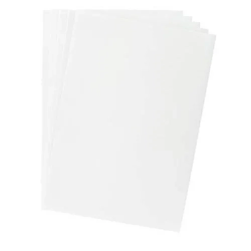 100 subcarpetas de papel blanco