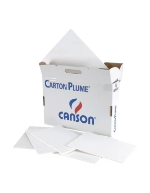 Carton pluma