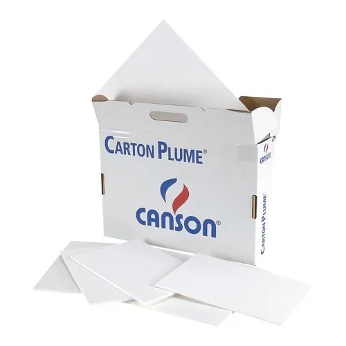 Carton pluma