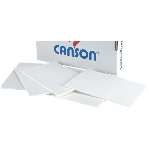 Carton pluma