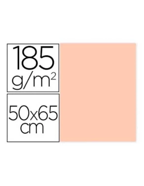 Cartulina Iris Canson Guarro 50x65 carne