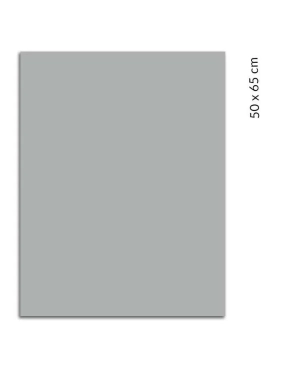 Cartulina Iris Canson Guarro 50x65 gris plomo