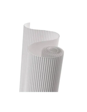 Carton ondulado canson en rollo 50x70 blanco