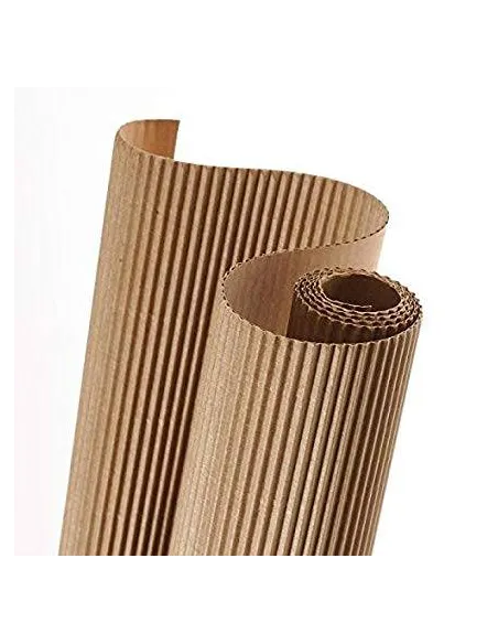 Carton ondulado canson en rollo 50x70 beige