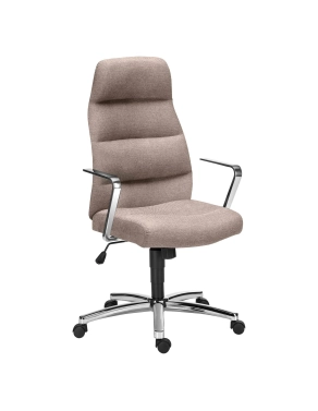 Sillon de dieccion con ruedas Altena Plus Beige