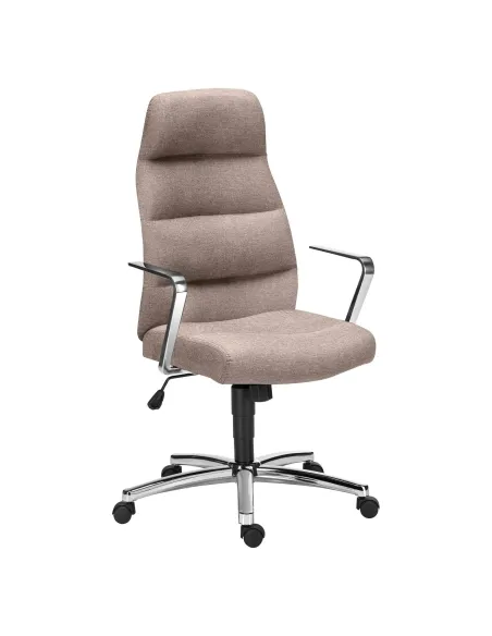 Sillon de dieccion con ruedas Altena Plus Beige