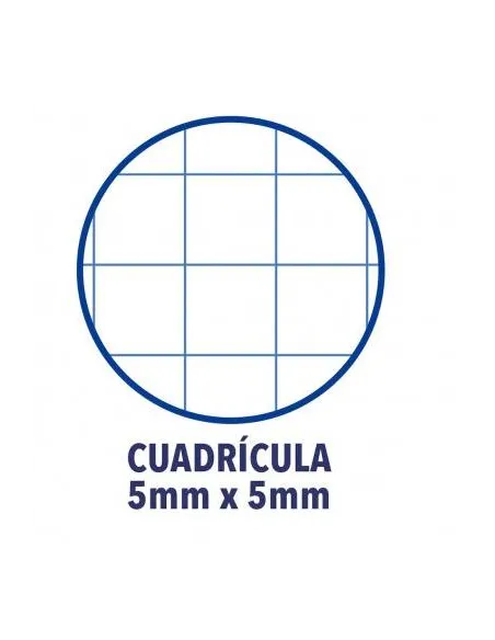 Block oxford folio cuadricula 5x5 tapa plastica colores surtidos