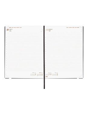 Agenda anual Finocam Dynamic Mara  Y12 dp azul 2022