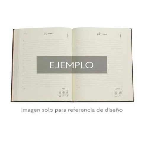 Paperblanks dia pagina