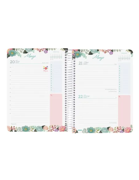 Agenda dia pagina cloe