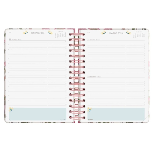 Agenda dia pagina moniquilla