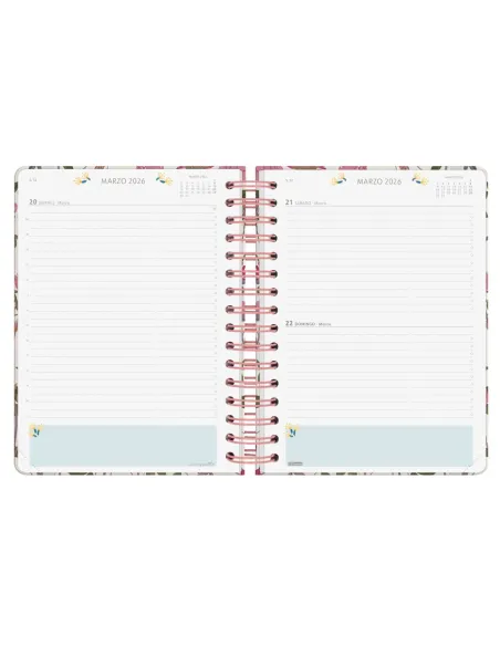 Agenda dia pagina moniquilla