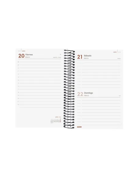 Agenda dia pagina year